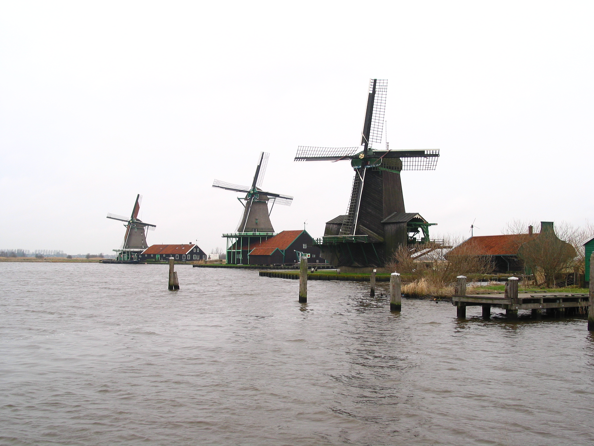 IMG_5800.JPG