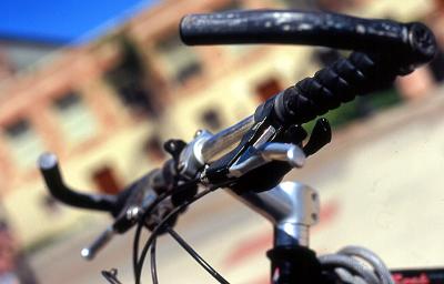 Narrow depth of field 1