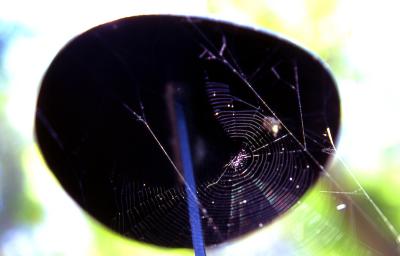 Theme: Fragile