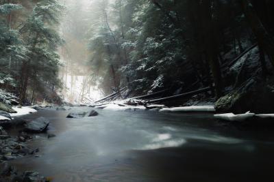 downstream.jpg