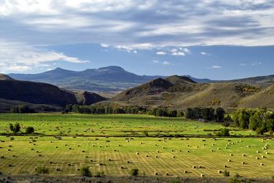 Harvesting Hay, northern Colorado