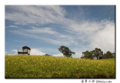 DSC_0568.jpg