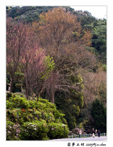 CRW_0582.jpg