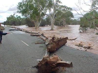 Paraburdoo #5