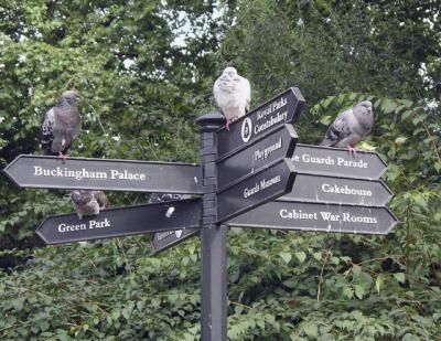 Signpost in St James Park.