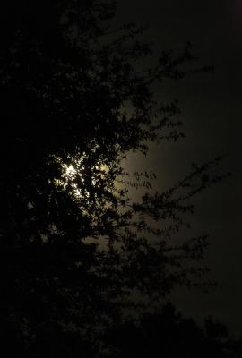 moonrise2.jpg
