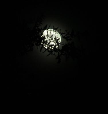 moonrise3.jpg