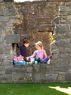 Setting up shop at Inchcolm Abbey _8312040.jpg