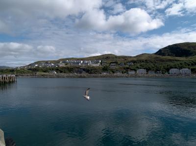 Old and new Mallaig _9022084.jpg