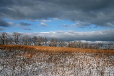 Winter Morning, Bedford