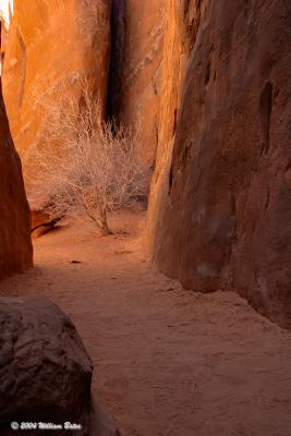 Slot Canyon in Arches
