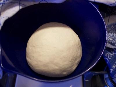 Freshly made pizza dough, getting ready for its first rise.