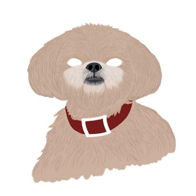 gracie-sketch-7.jpg