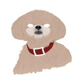 gracie-sketch-7.jpg