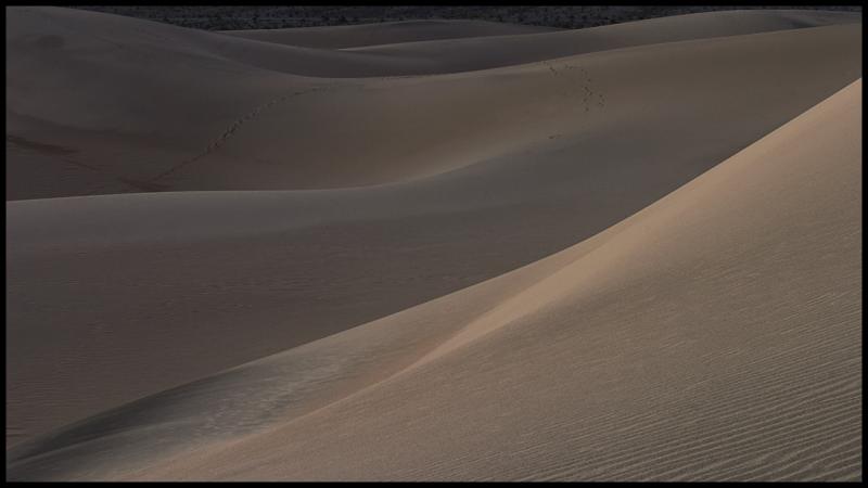 WM-DEAT-2004-0304-1313-Death Valley  Sand Dunes.jpg