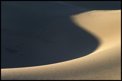WM-DEAT-2004-0304-1471-Death Valley Sand Dunes.jpg