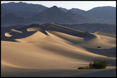 WM-DEAT-2004-0304-0162-bis-Death Valley Sand Dunes-1.jpg