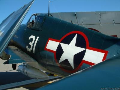 u41/staggerwing/medium/33412861.HELLCAT.jpg