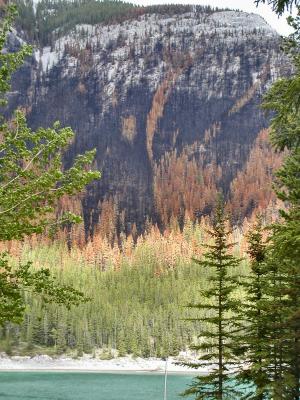 Zoom in Mountain Burn Off