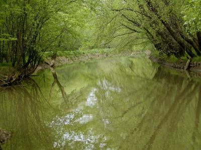 u41/stealthfti/medium/26874170.GreenRiver.jpg