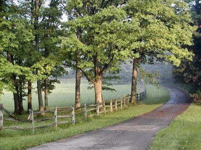 Long Lane