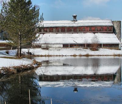 Janke's Gallery