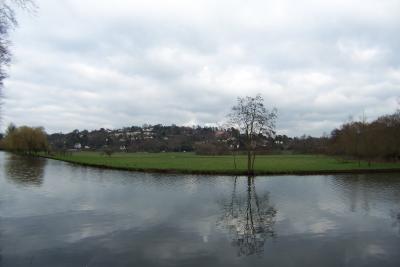 WeySide View