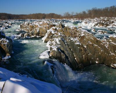 110_1020 copy.jpg