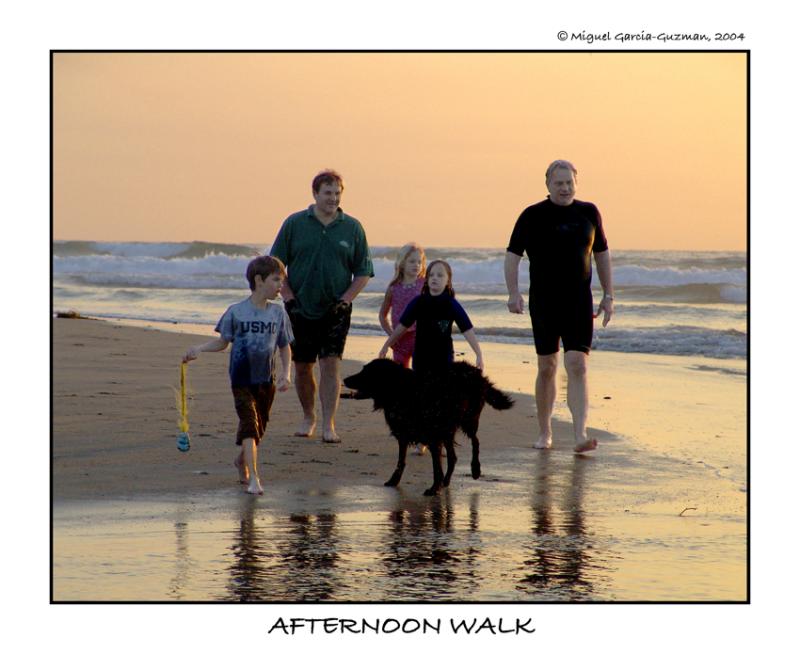 <b>Afternoon Walk*</b> <br></font size=1>by Miguel Garcia-Guzman<font size></br></p>