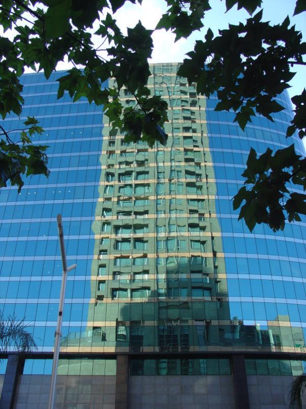 Windows reflected by Amiad dvir