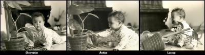 The learning curve*by Moti