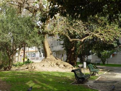 The best place to be after school*by José Maria Simões