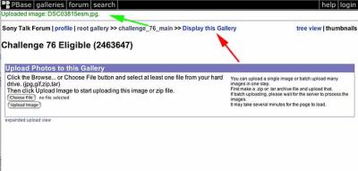 Step 7 - Verify upload and return to Challenge Gallery