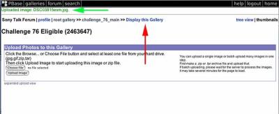 Step 9 - Verify upload and return to Challenge Gallery