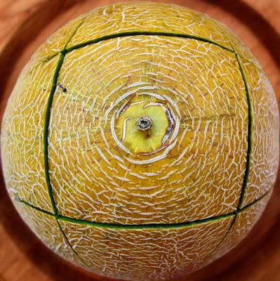 Ant's melon-nightmare by Joe Bonello