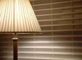 <b>7th (tie)</b><br>Soft Touch