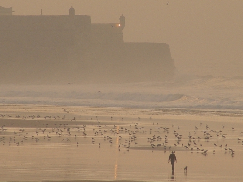 <B>Fine sandy beach</B><BR><FONT size=2>Jos Maria Simes</FONT>