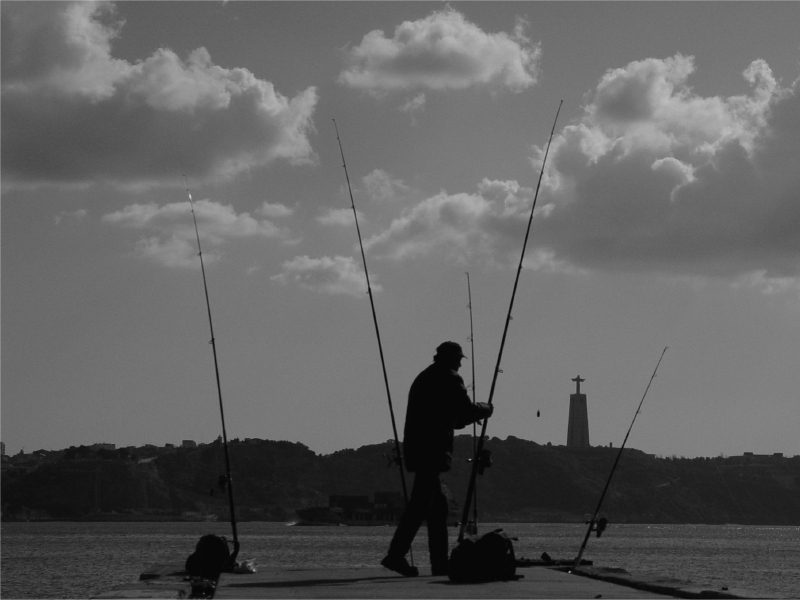 <B>The angler</B><BR><FONT size=2>Jos Maria Simes</FONT>