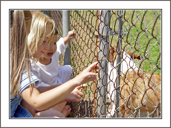 <B>On the other side of the fence</B><BR><FONT size=2>*by LanceD</FONT>