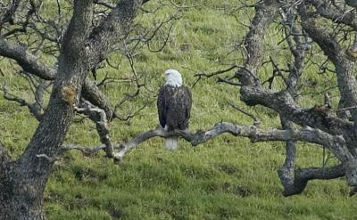 DSC_6687.JPG
