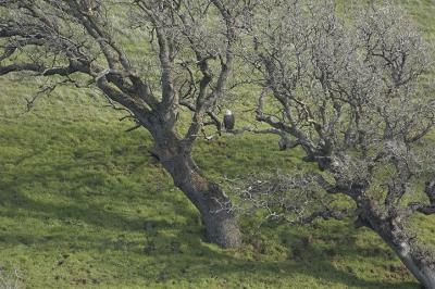 DSC_6702.JPG