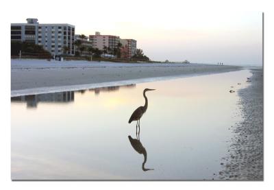 Early Morning Tidal Pool