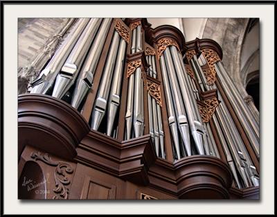 Organ Pipes At Stephendom