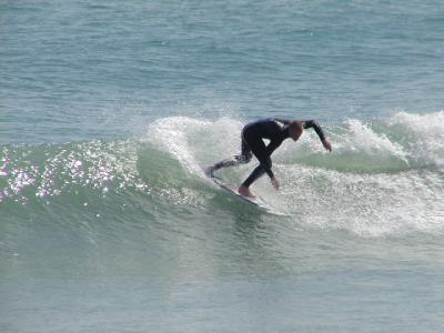P1010120a.JPG