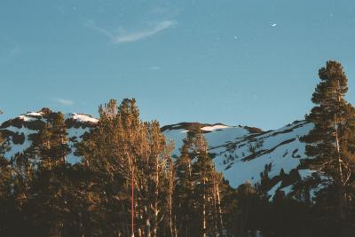 Scan449.jpg