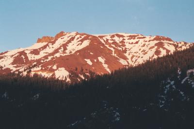 Scan458.jpg