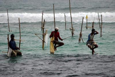 Stilts fishermen