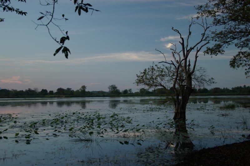 Lake at Habarana Lodge