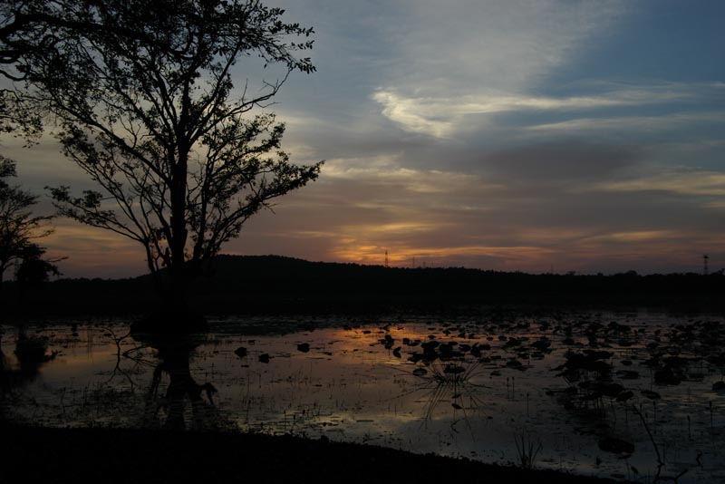 Sunset over lake at Habarana Lodge