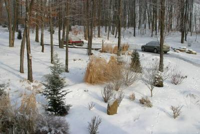 Front yard in winter 02